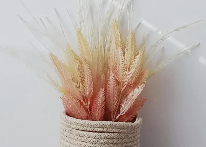 El Rincon Zen- Independiente Con Bano Privado Y Kitchenette *