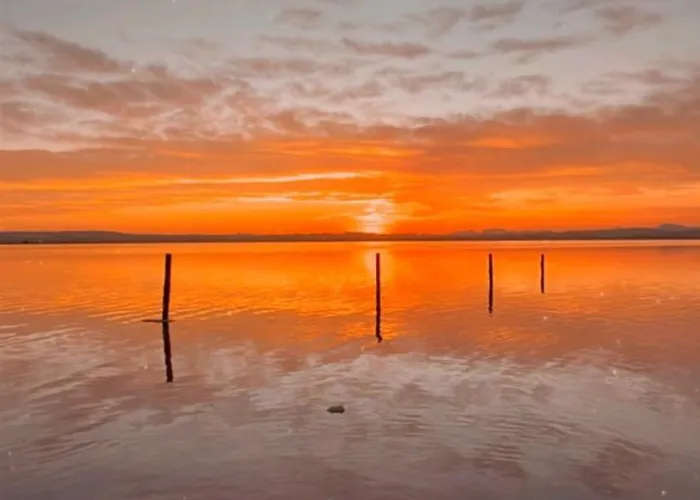 El Rincon Zen- Independiente Con Bano Privado Y Kitchenette * トレビエハ